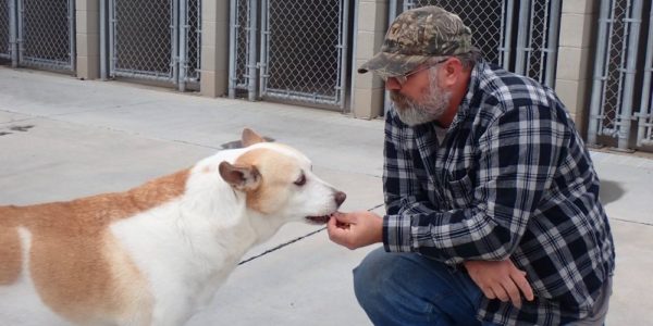 Animal Shelter’s Post on Social Media Reunites Dog with Owner After 3 Years!