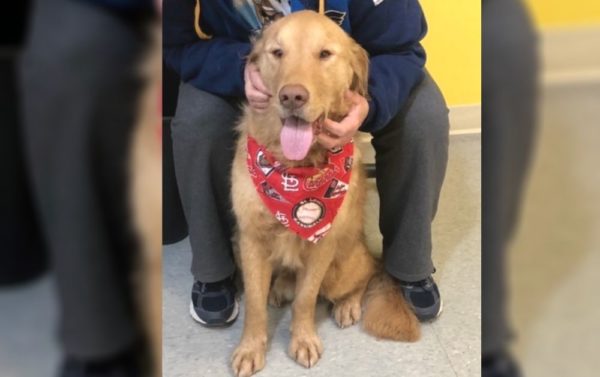 Dog missing almost a year finally reunites with owner