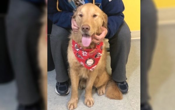 Dog Missing Almost a Year Finally Reunites with Owner