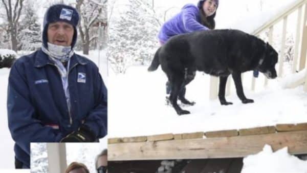 Mailman makes life-changing dog ramp for senior dog on his route