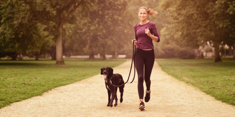 4 ways to keep your pup active during the colder months