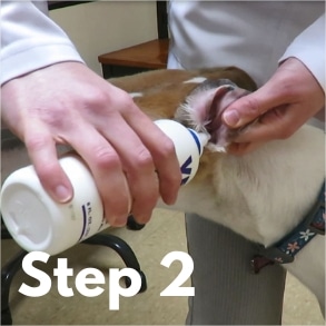 How to clean dog ears in 4 easy steps (according to our vet)