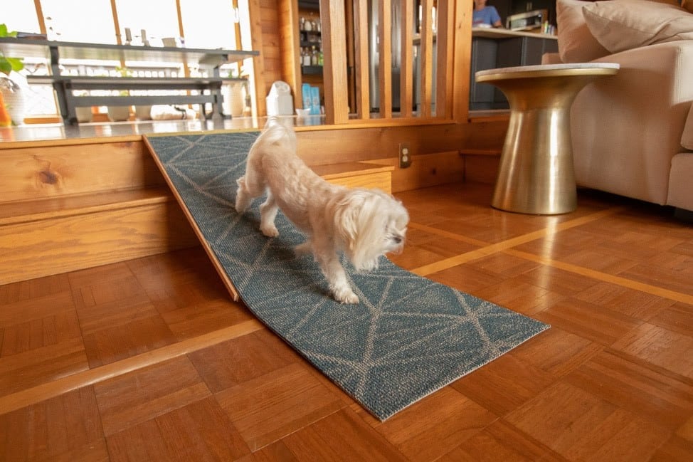 How To Build A Diy Dog Ramp - Diy Dog Ramp For Bed With Storage