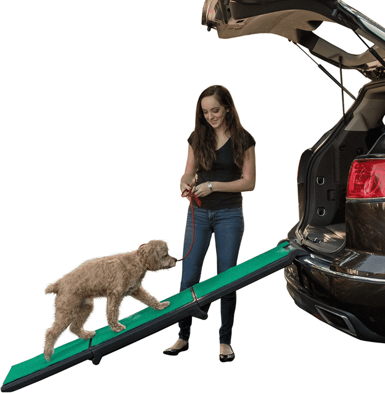 Dog car ramp review: a pet parent guide