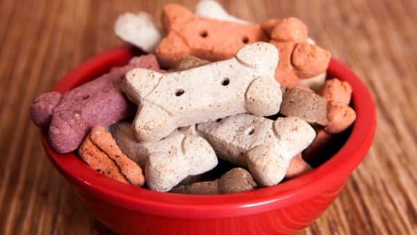 Healthy Dog Treats vs Natural Dog Treats