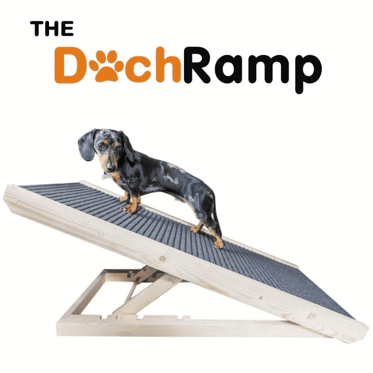 The best dachshund ramp: a dog owner's guide