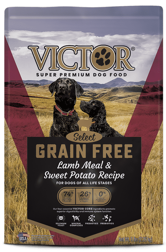 Victor dog food review: should we trust their formula?