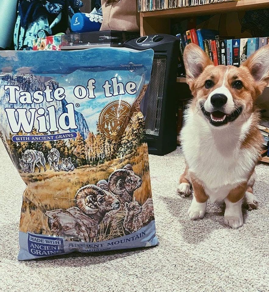 Taste of the wild dog food: a pet parent guide