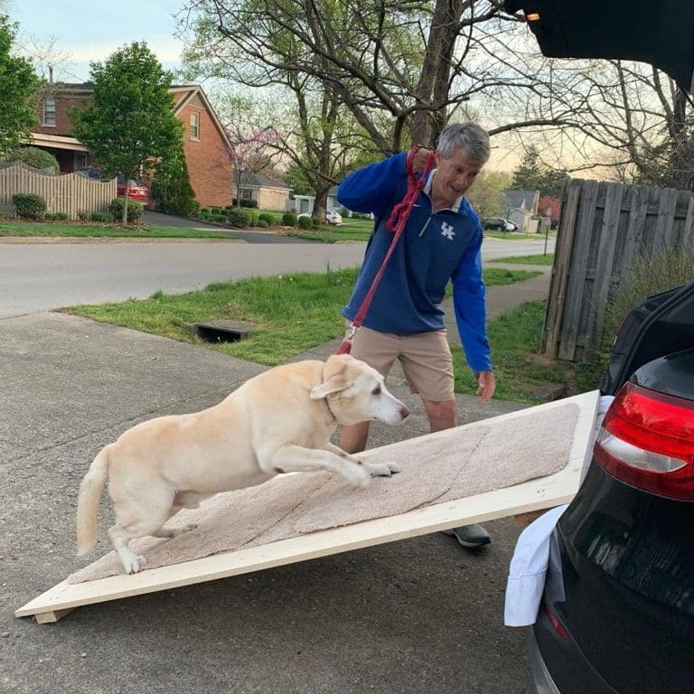 How to build a dog ramp for suv