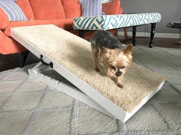 How to build a diy dog ramp