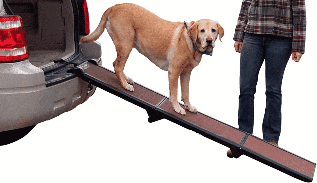 The best dog ramp for rv steps: a buyer's guide