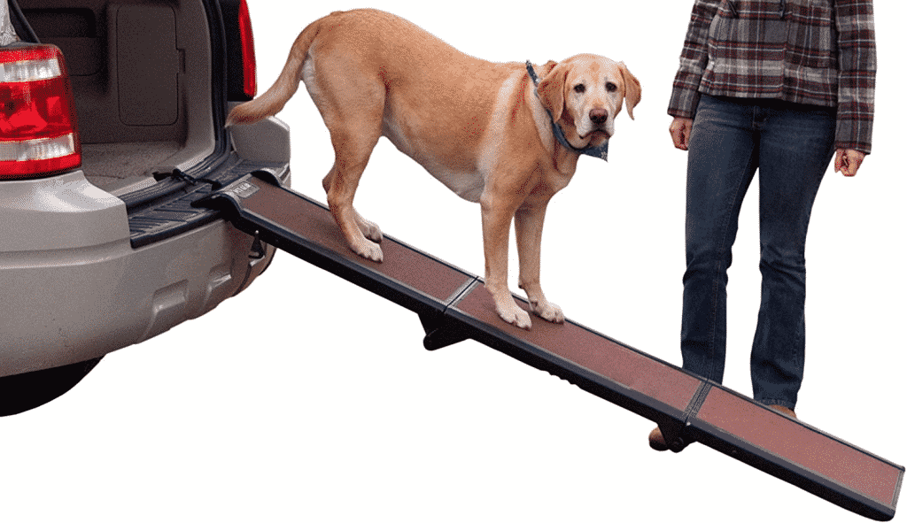 The Best Dog Ramp for RV Steps: A Buyer's Guide