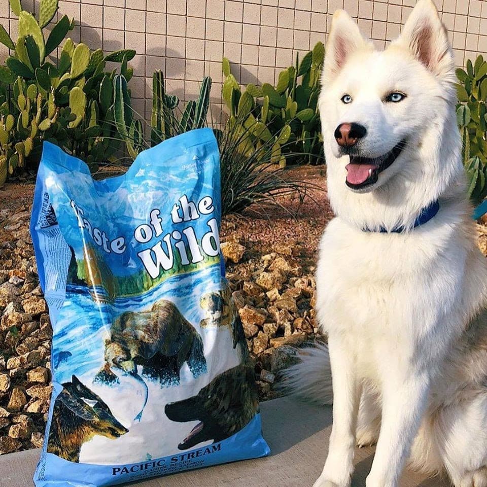 Taste of the Wild Dog Food: A Pet Parent Guide