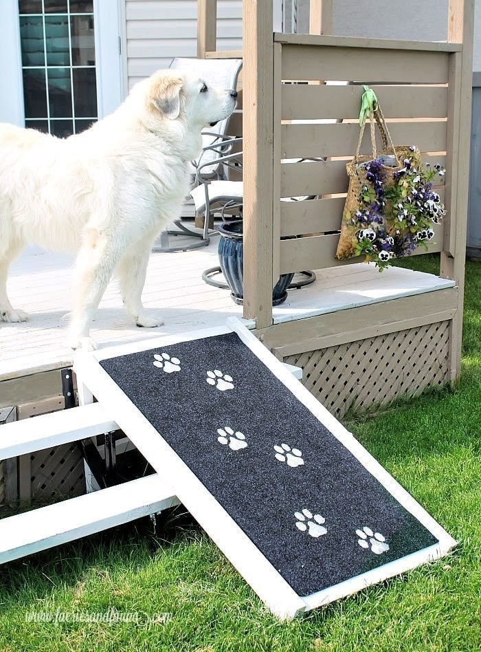 How to build a diy dog ramp