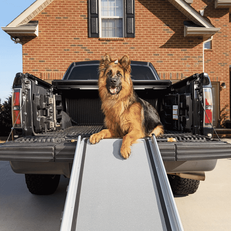 The best dachshund ramp: a dog owner's guide