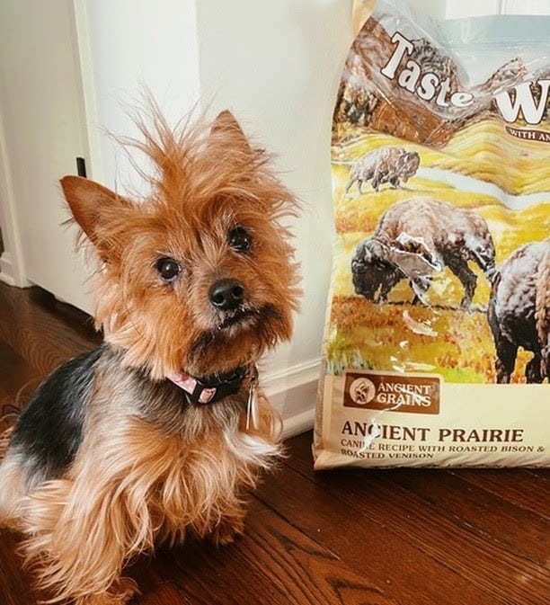 Taste of the wild large breed puppy food reviews hotsell