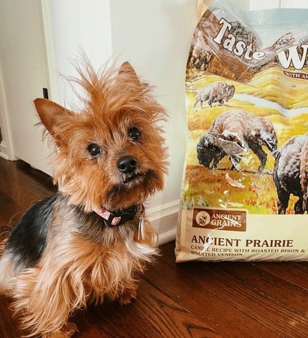 Taste of the Wild Dog Food: A Pet Parent Guide