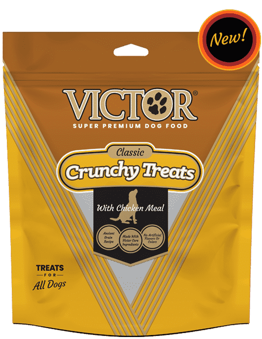 Victor dog food review: should we trust their formula?
