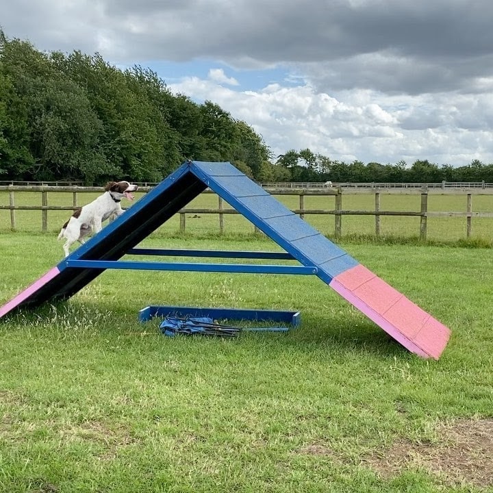 How to build a dog agility ramp