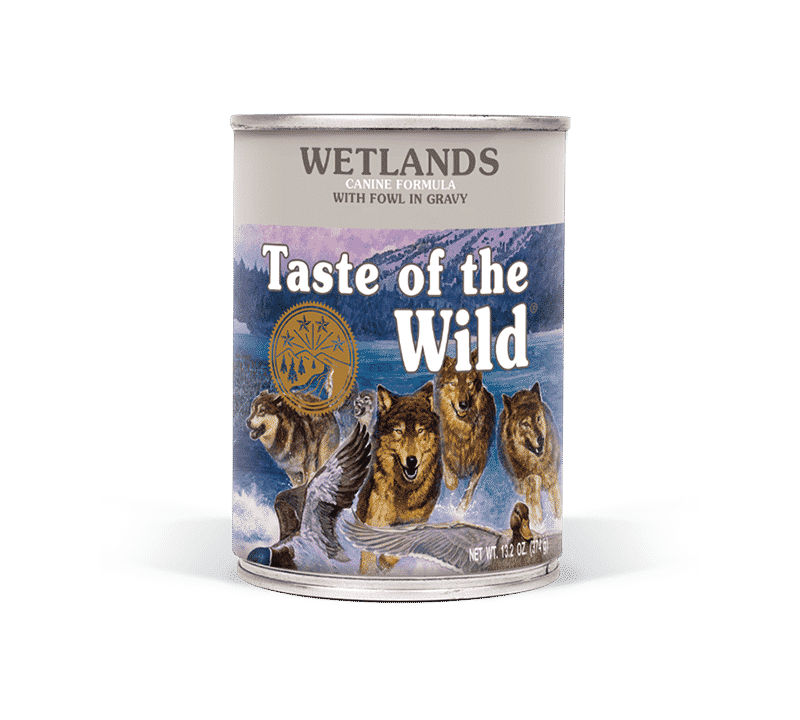 Taste of the wild dog food: a pet parent guide