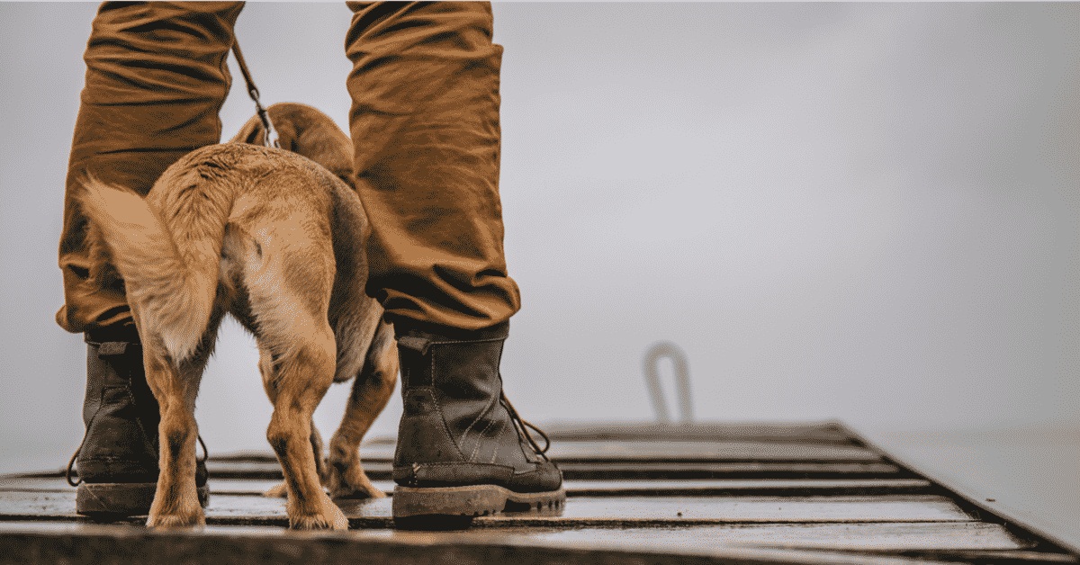 How to build a dog ramp for a deck