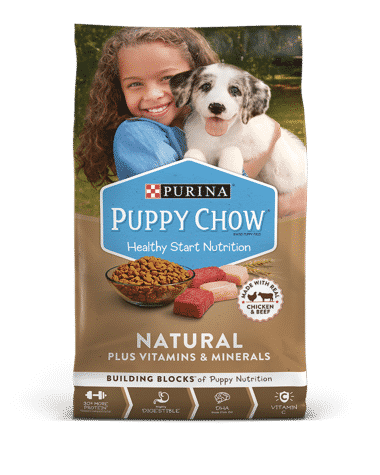 Purina dog food review