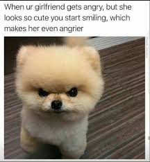 Angry dog meme - when ur girlfriend gets angry, but she looks so cute you start smiling, which makes her even angrier