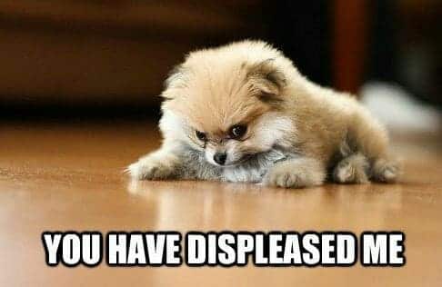 Angry Dog Meme - You have displeased me