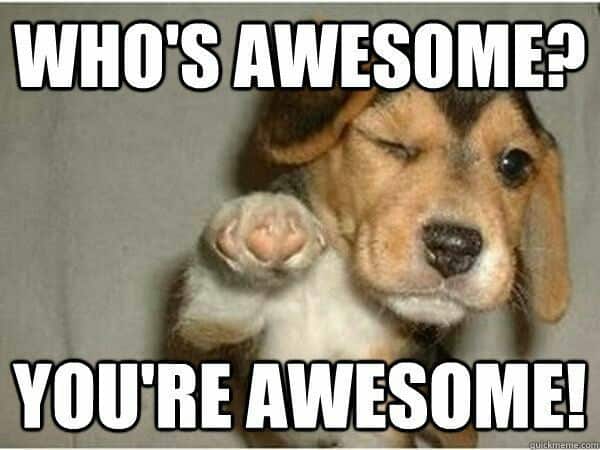 Beagle meme - who's awesome. You're awesome!