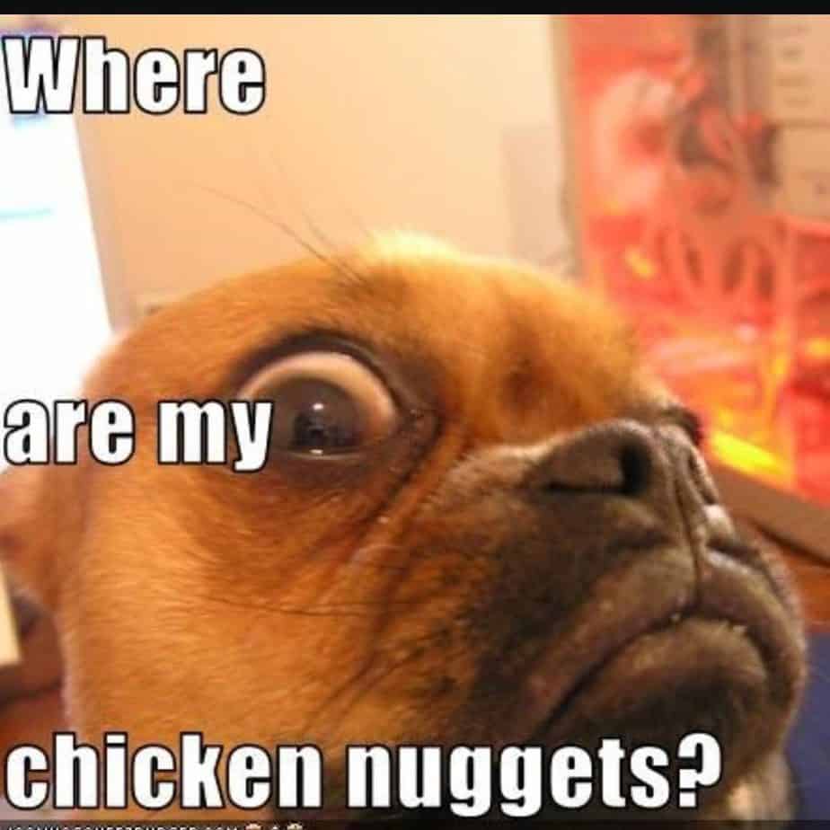 Boxer Meme - Where are my chicken nuggets