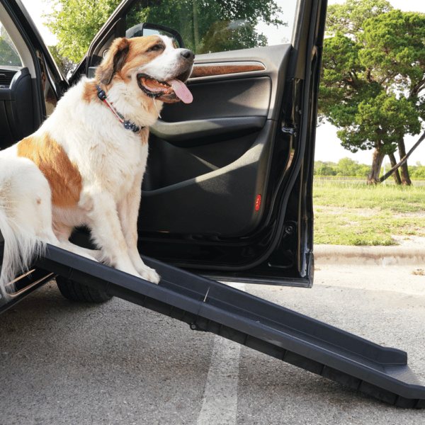 What's the Best Dog Ramp for Your Pet?