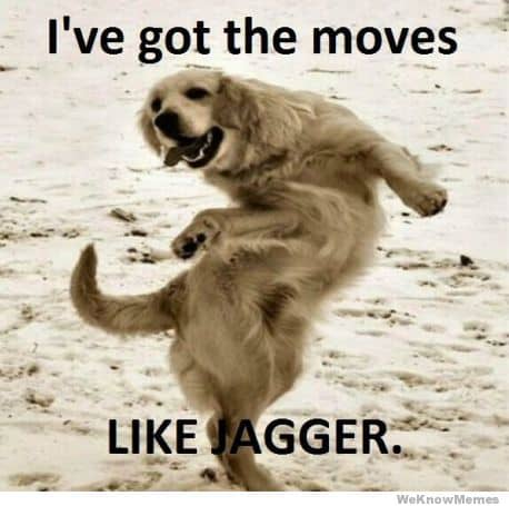 Dancing Dog Meme - I've got the moves like jagger.