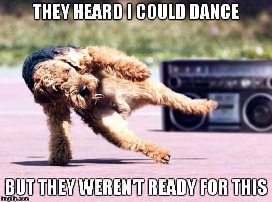 Dancing dog meme - they heard i could dance but they weren't ready for this