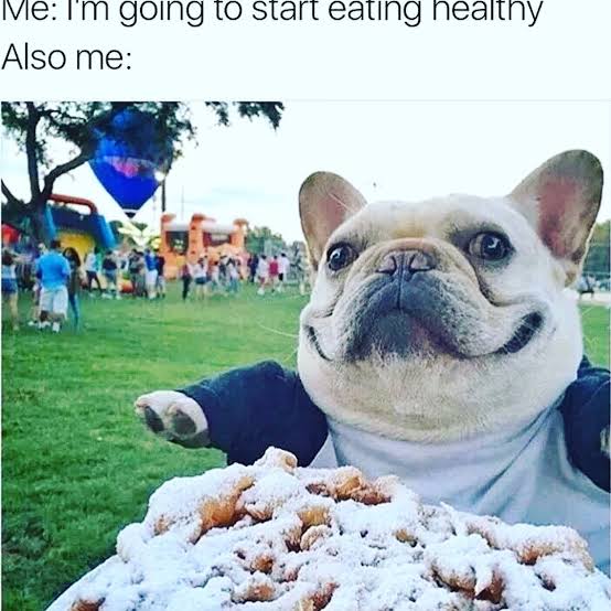 Funniest Fat Dog Memes