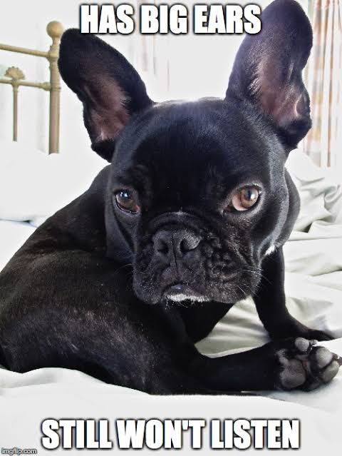 French bulldog meme - i don't always bark at night. But when i do, it's for no reason