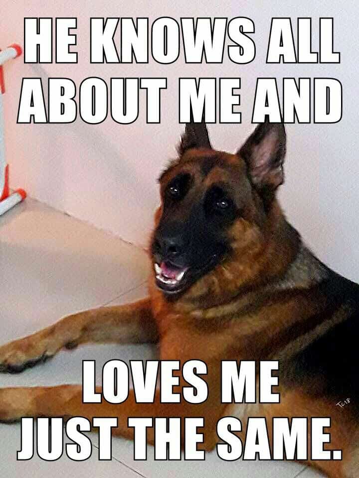 German shepherd meme - he knows all about me and loves me just the same.