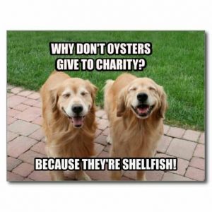 50+ Funniest Golden Retriever Memes