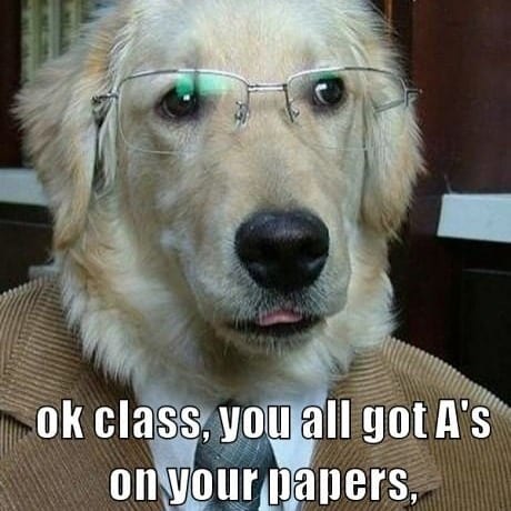 Golden Retriever Meme - ok class, you all got A's on your papers,