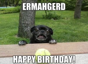 100+ Happy Birthday Dog Memes