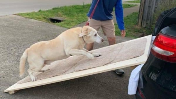 How to build a dog ramp for suv
