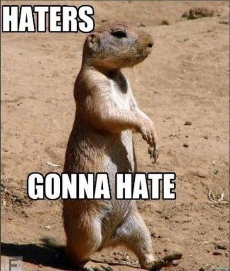 Prairie Dog Meme - Haters gonna hate