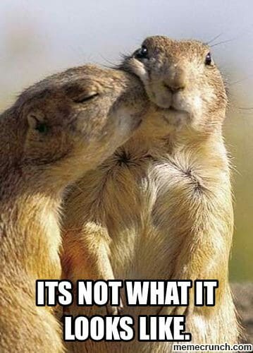 Prairie Dog Meme - It's not what it looks like.