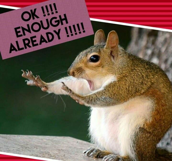 Prairie dog meme - ok!!! Enough already!!!!