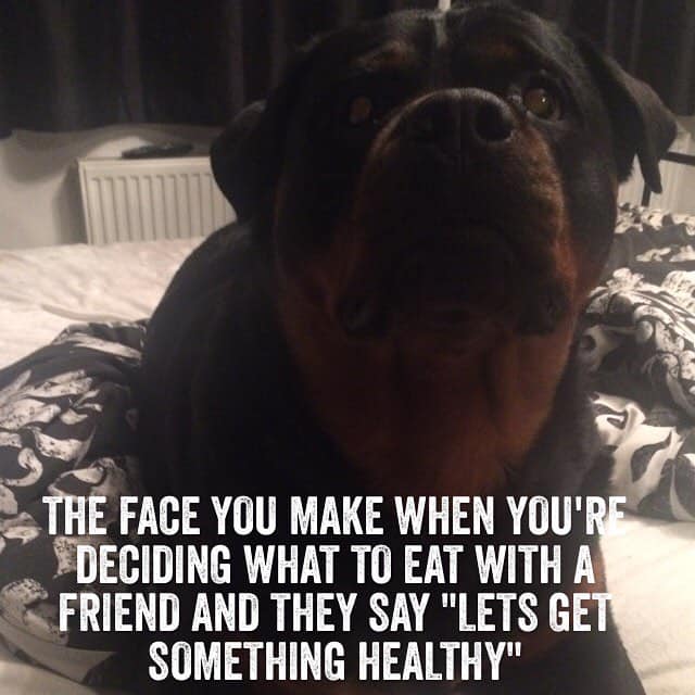 Rottweiler meme - the face you make when you're deciding what to eat with a friend and they say lets get something healthy