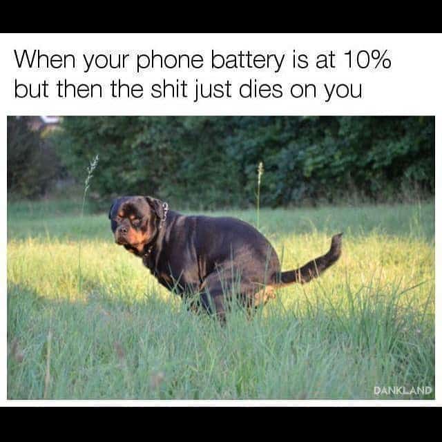 Rottweiler meme - when your phone battery is at 10% but then the shit just dies on you
