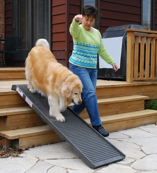 What's the Best Dog Ramp for Your Pet?