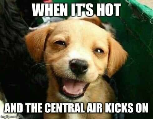 Smiling dog meme - when it's hot and the central air kicks on