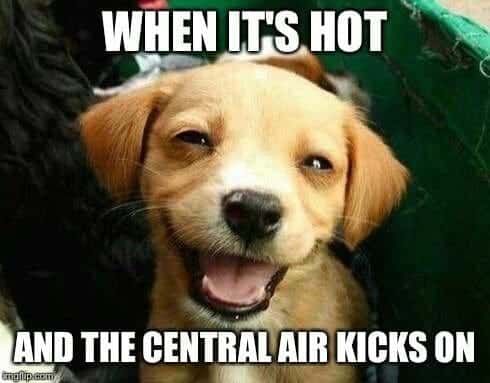 Smiling Dog Meme - When it's hot and the central air kicks on