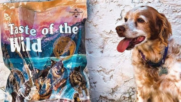 Taste of the wild dog food a pet parent guide