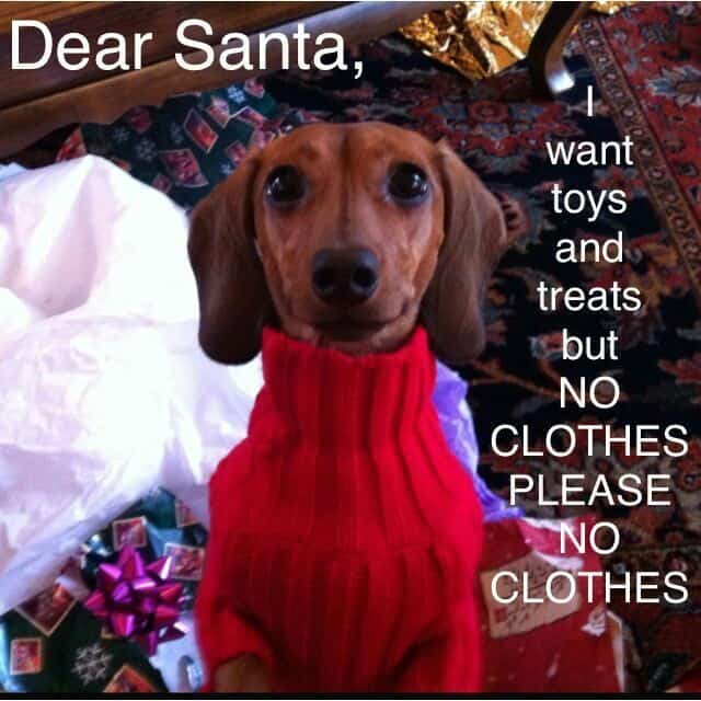 Weiner Dog Meme - Dear Santa, I want toys and treats but no clothes please no clothes